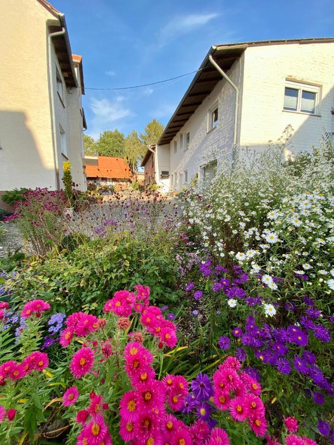 Ferienwohnung Riese Nordhessen Felsberg エクステリア 写真